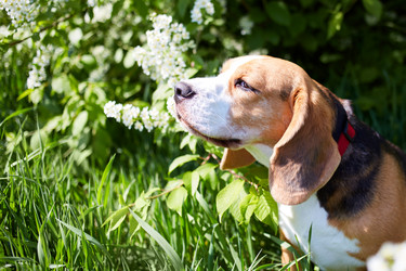 Similar image 21851129