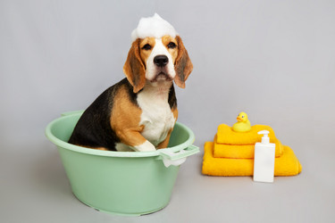 Similar image 21851133