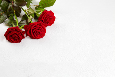 Similar image 21851137