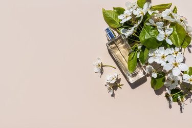 Similar image 21850537