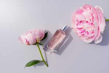 Similar image 21850543