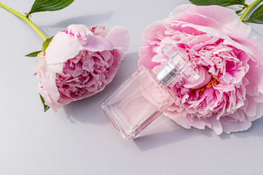 Similar image 21850544