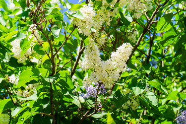 Similar image 21856637