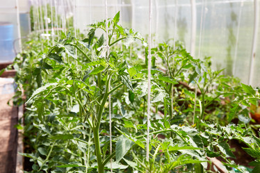 Similar image 21851141