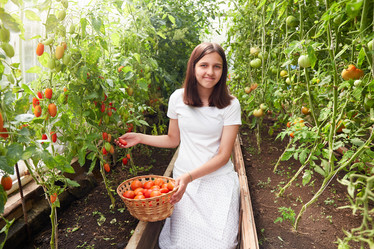 Similar image 21851142