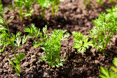 Similar image 21851146