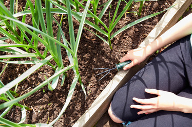 Similar image 21851148