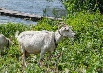 Similar image 21853741