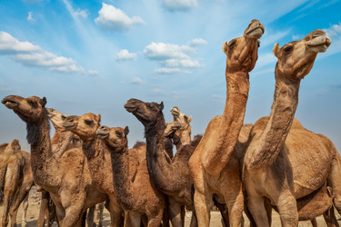 Similar image 21851325