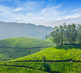 Similar image 21851990