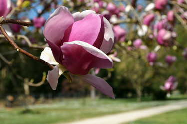 Similar image 21850809