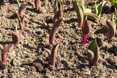 Similar image 21850810