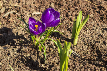 Similar image 21850812