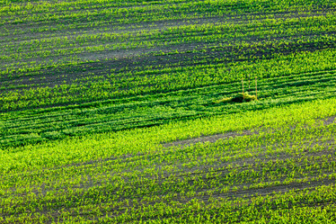 Similar image 21851370