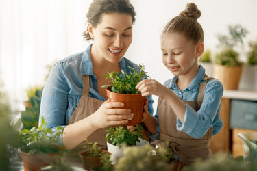 Similar image 21855077