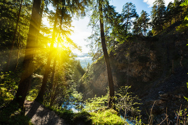 Similar image 21852509