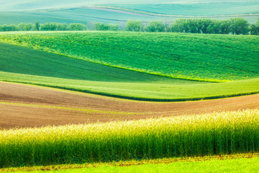 Similar image 21852537