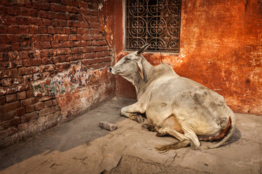 Similar image 21853572