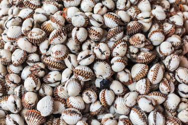 Similar image 21852106