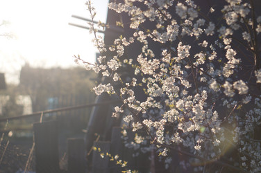 Similar image 21850824