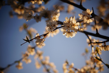 Similar image 21850825