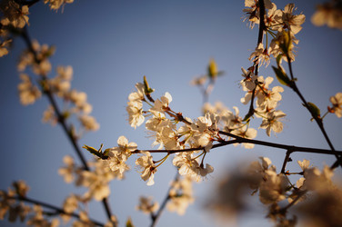 Similar image 21850826