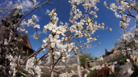 Similar image 21850827