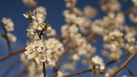 Similar image 21850828