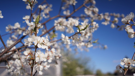 Similar image 21850829