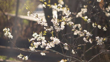 Similar image 21850830