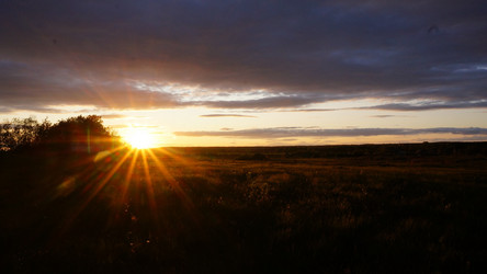 Similar image 21853872