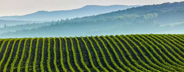 Similar image 21851803