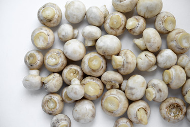 Similar image 21850860