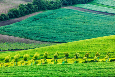 Similar image 21851219