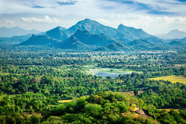 Similar image 21851406