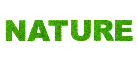 Similar image 21851809