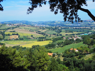 Similar image 21850895