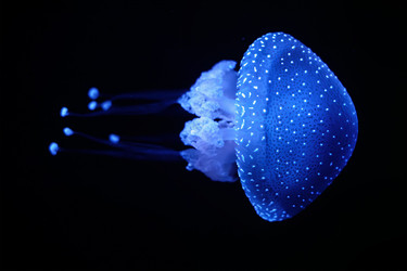 Similar image 21852169