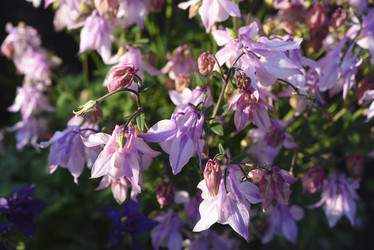 Similar image 21850902