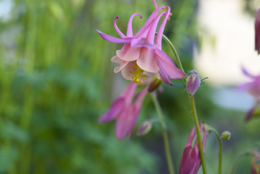 Similar image 21850904