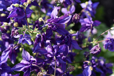 Similar image 21850905