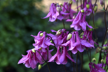 Similar image 21850906