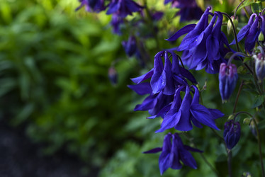 Similar image 21850907