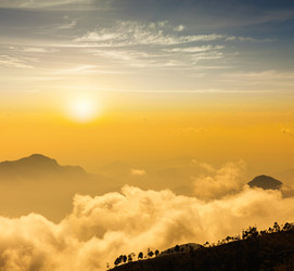 Similar image 21853634