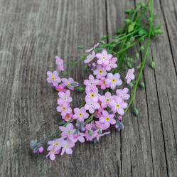 Similar image 21856583