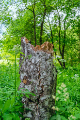 Similar image 21856584