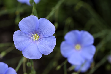 Similar image 21853919