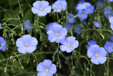 Similar image 21853920