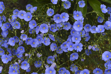 Similar image 21853922