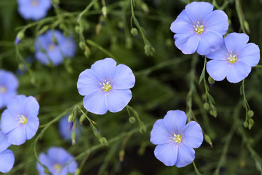 Similar image 21853923